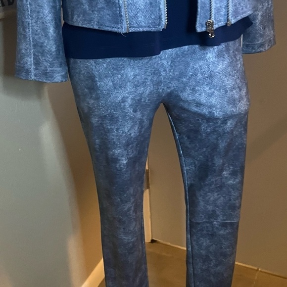Liquid leather jacket and pant set blue snakeskin by Clara sun woo nwt - Picture 10 of 16